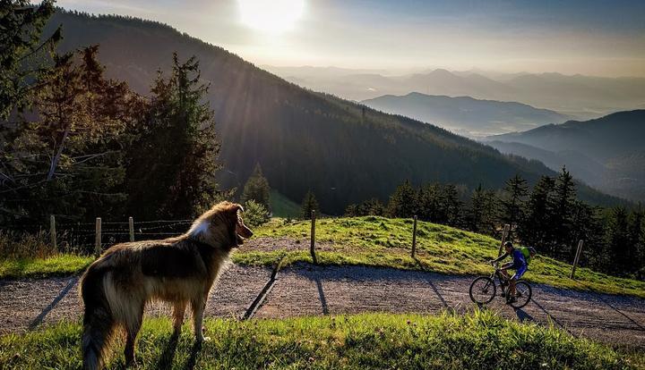 Stoisser Alm